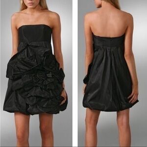 Haute Hippie Silk Taffeta Rose Dress